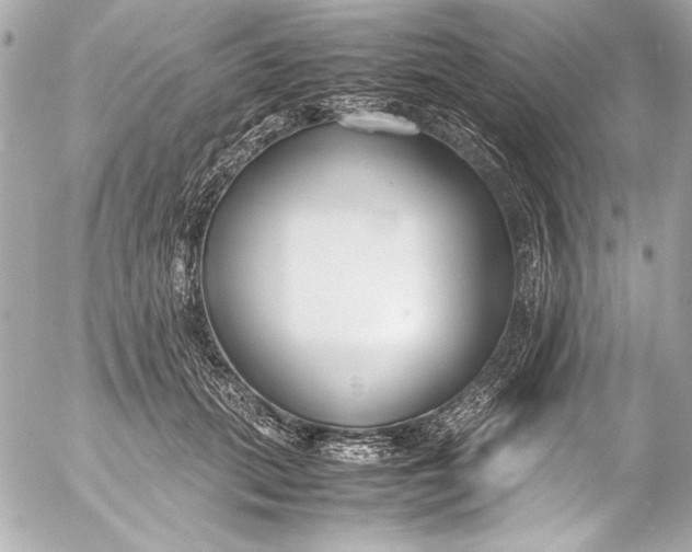 X0000054470655200508191729