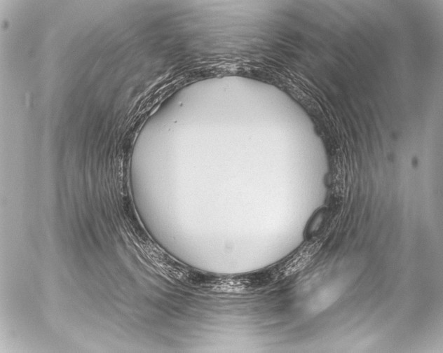 X0000054470656200508191729