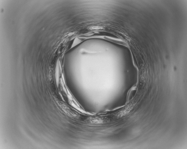 X0000054470658200508191729