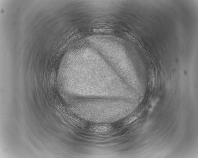 X0000054470659200508191729