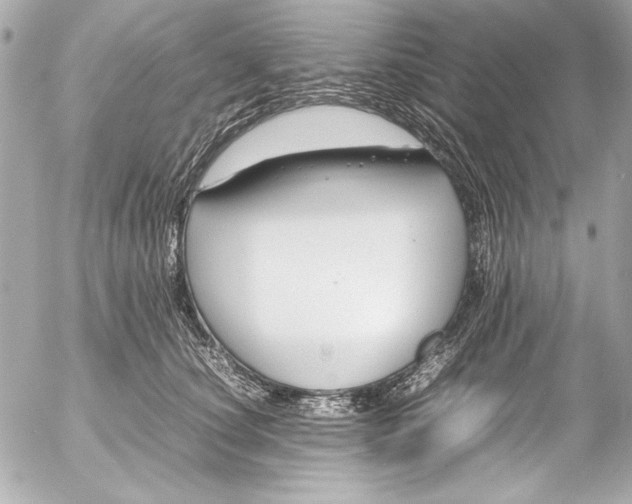 X0000054470660200508191729