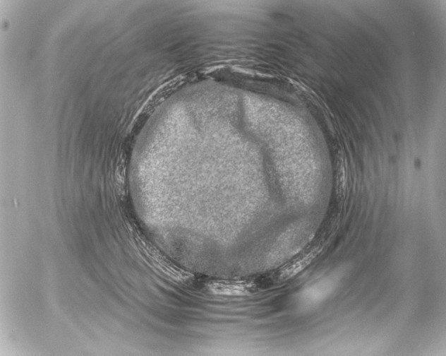 X0000054470661200508191729