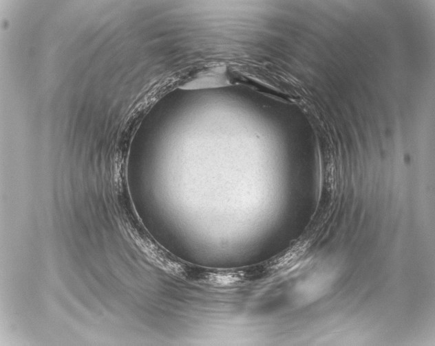 X0000054470662200508191729