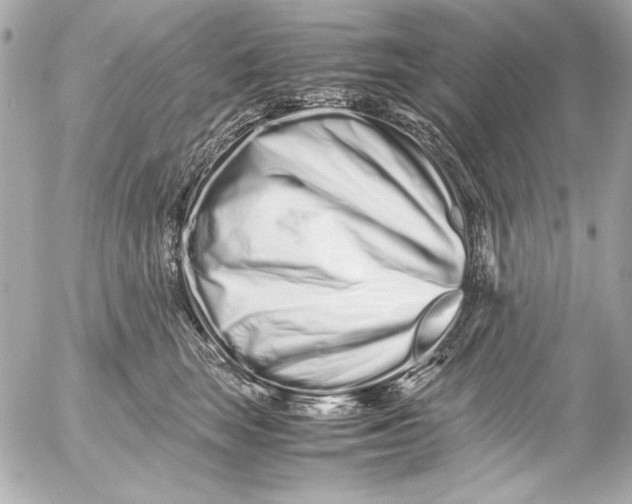 X0000054470663200508191729