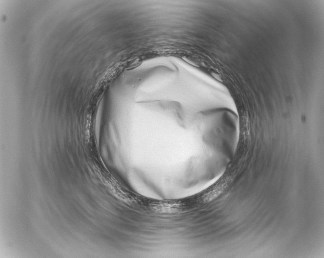 X0000054470664200508191729