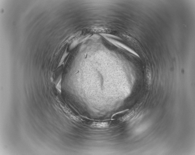 X0000054470665200508191729