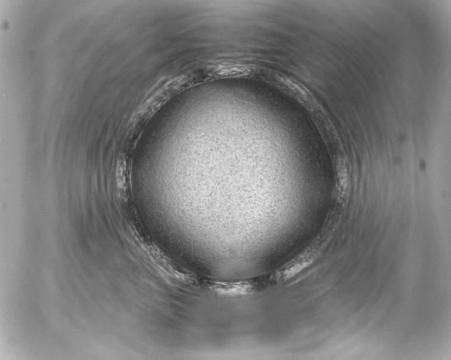 X0000054470667200508191729