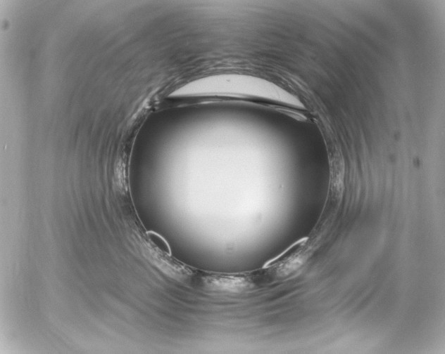 X0000054470669200508191729