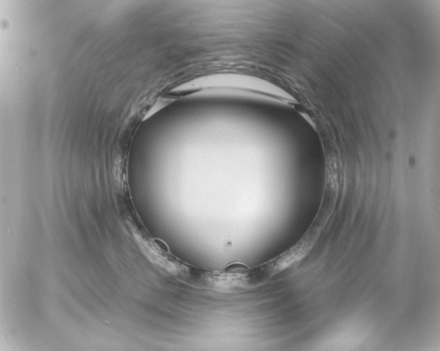 X0000054470670200508191729