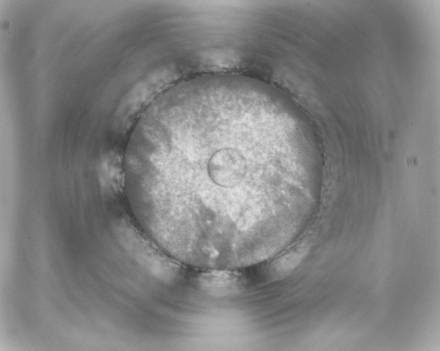 X0000054470672200508191729