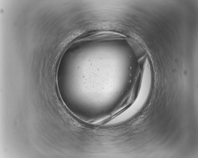 X0000054470673200508191728