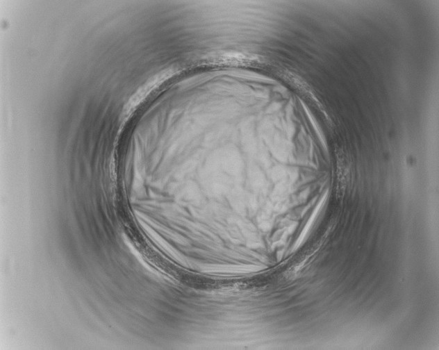 X0000054470674200508191728