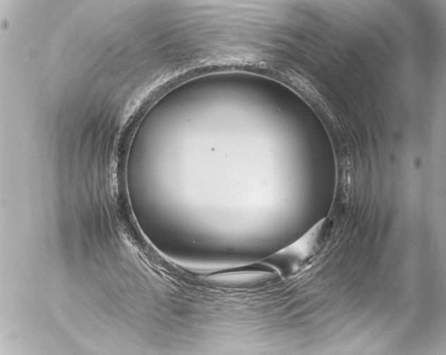 X0000054470676200508191728