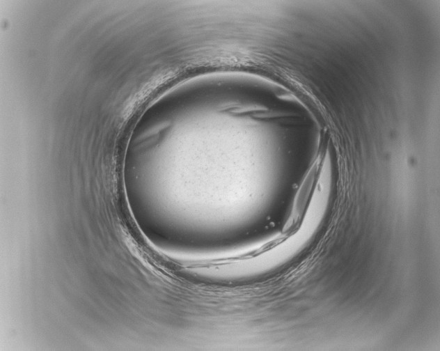 X0000054470677200508191728