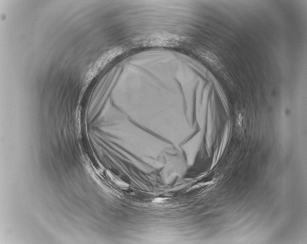 X0000054470678200508191728