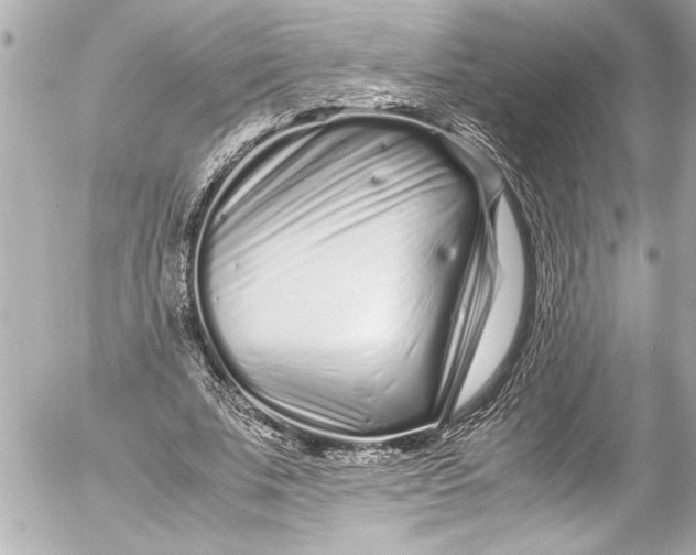 X0000054470679200508191728