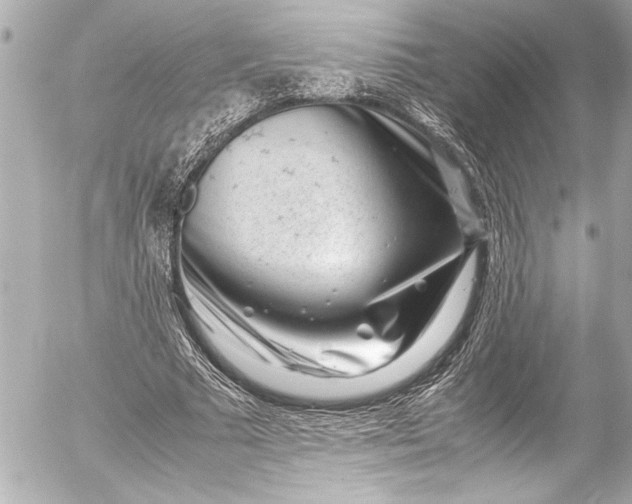 X0000054470681200508191728