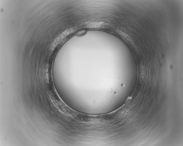 X0000054470682200508191728