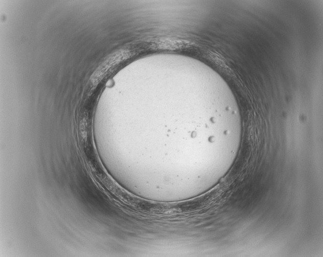 X0000054470683200508191728