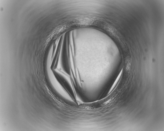 X0000054470685200508191728