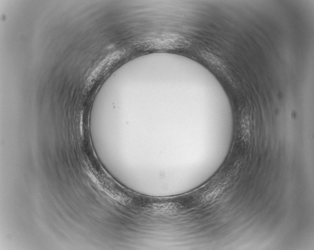 X0000054470686200508191728