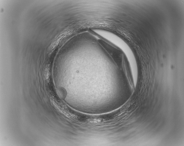 X0000054470687200508191728