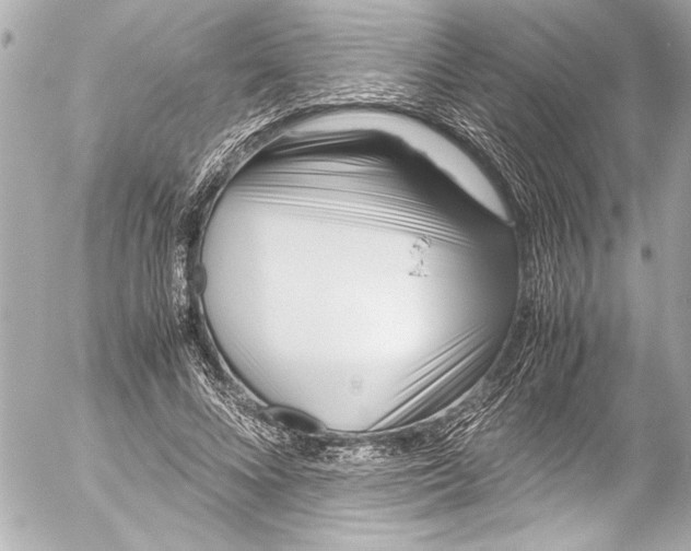 X0000054470688200508191728