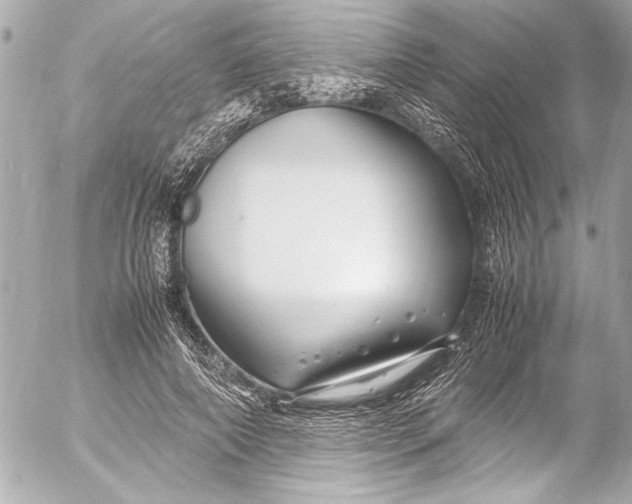 X0000054470690200508191728