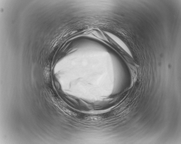 X0000054470691200508191728