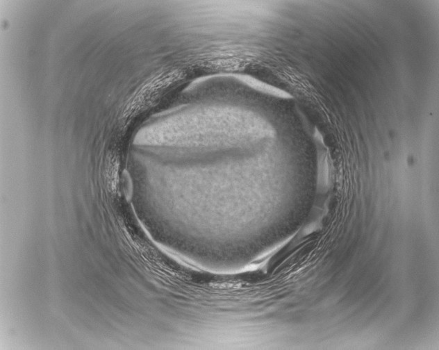 X0000054470693200508191728