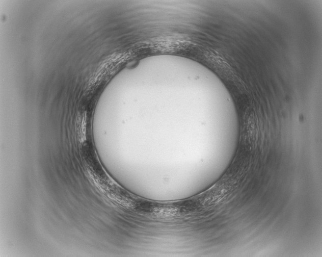 X0000054470694200508191728