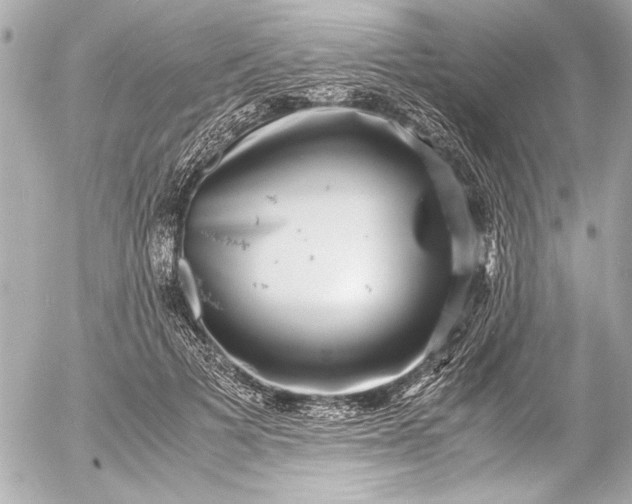 X0000054470697200508191728