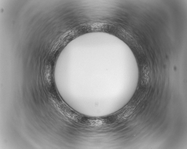 X0000054470698200508191728