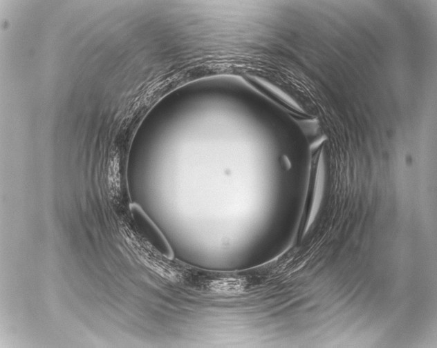 X0000054470700200508191728