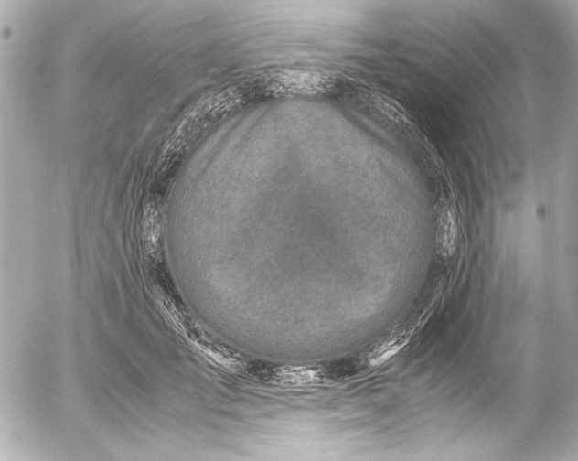 X0000054470701200508191728