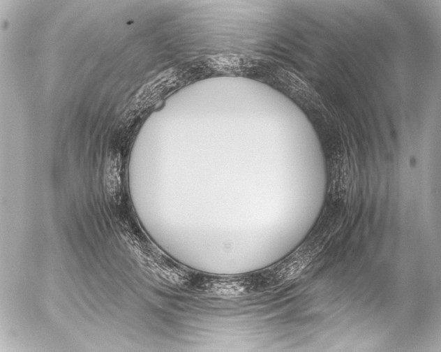 X0000054470702200508191728