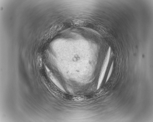 X0000054470703200508191728