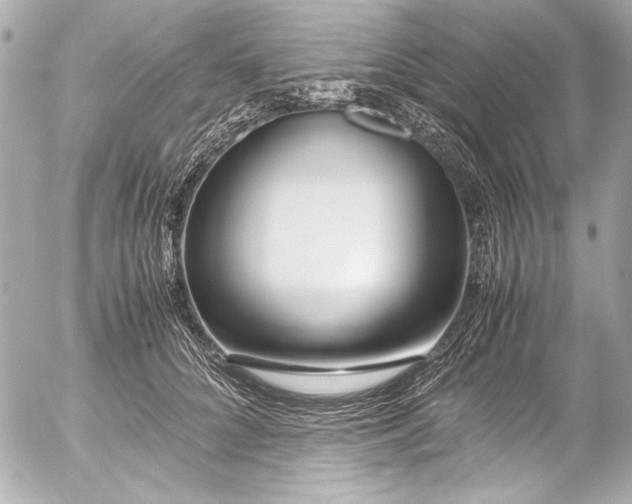 X0000054470704200508191728