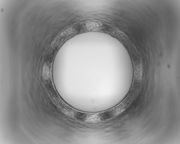 X0000054470705200508191728