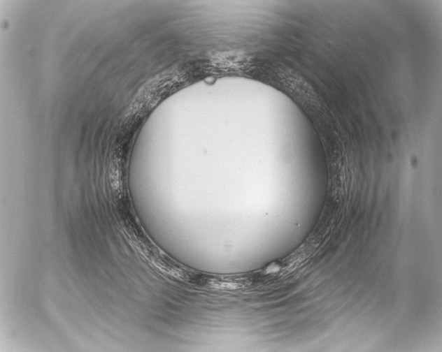 X0000054470706200508191728