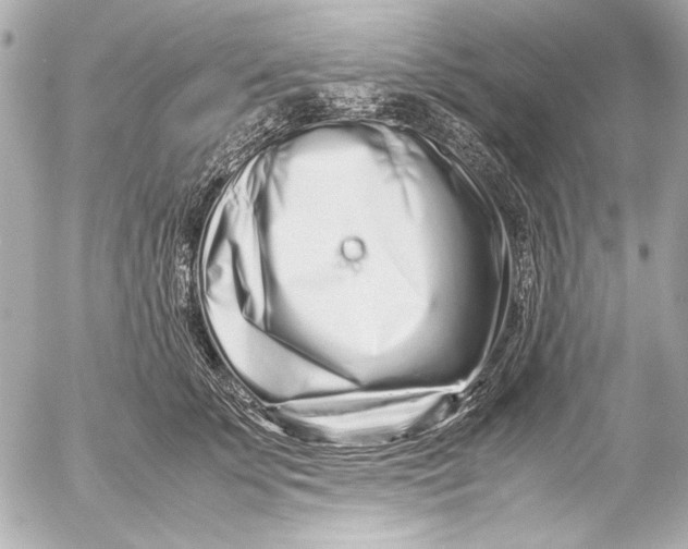 X0000054470707200508191728