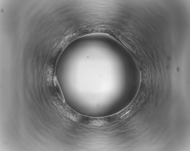 X0000054470708200508191728