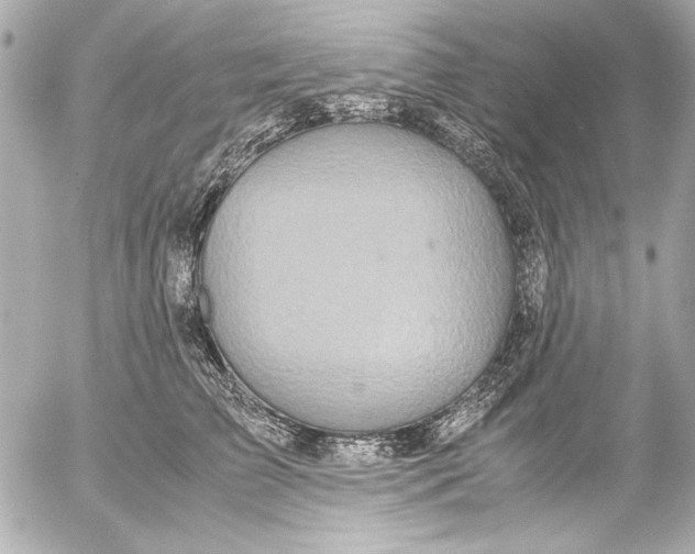 X0000054470709200508191728