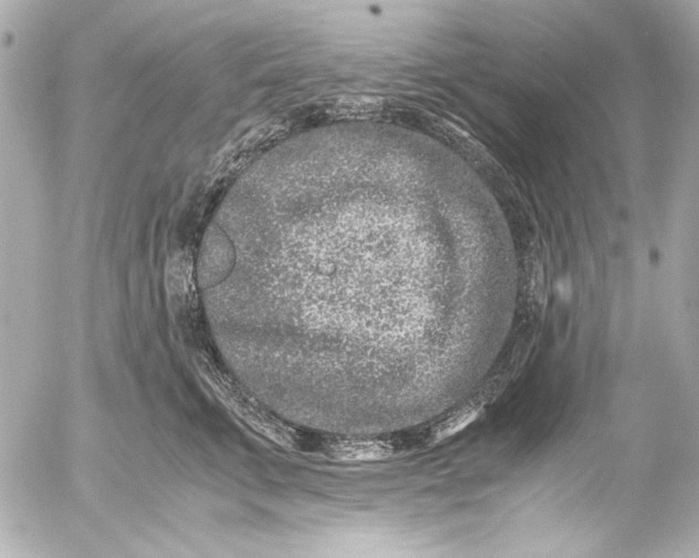 X0000054470711200508191728