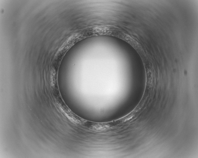 X0000054470712200508191728