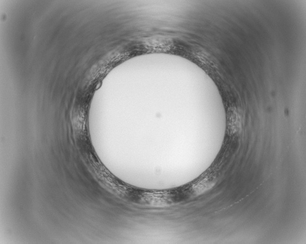 X0000054470713200508191728