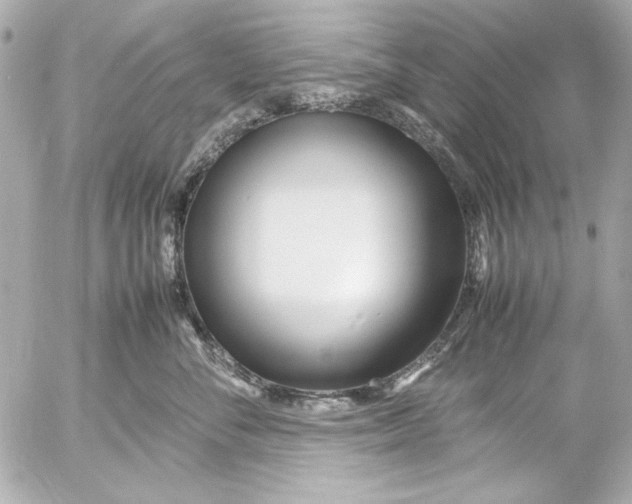 X0000054470716200508191728