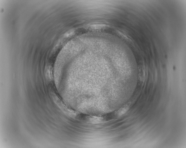 X0000054470718200508191728