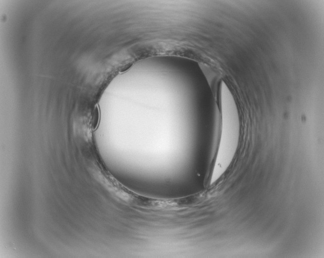 X0000054470719200508191728