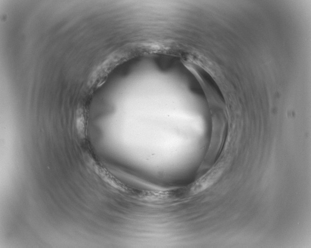 X0000054470720200508191728